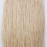 Tape In Haarverlängerung Blond #24